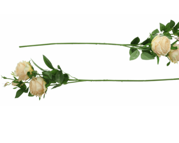 Kunstblume Rose Apricot Blüten Strauch Dekoration Blume Länge ca. 64 cm 6 2020 10 05 77