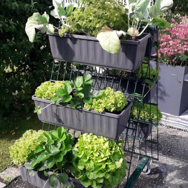 Blumenkastenhalter Pflanzkastenhalter für Doppelstab Gitter Gabionen Hochbeete