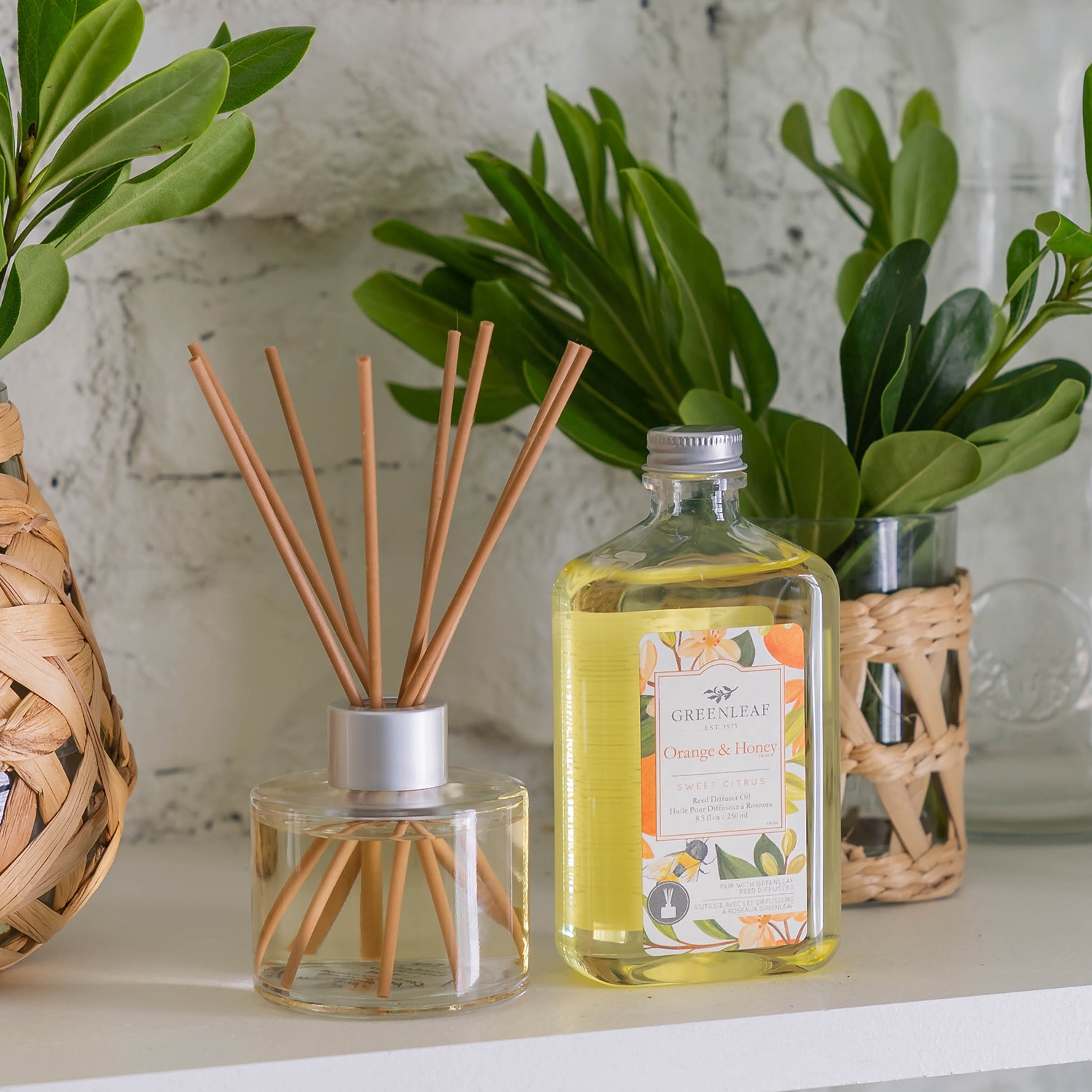 Greenleaf Orange & Honey - Reed Diffuser Oil Nachfüller mit Peddigrohr Stäbchen 250 ml 3 Greenleaf Orange & Honey - Reed Diffuser Oil Nachfüller mit Peddigrohr Stäbchen 250 ml – Bild 3