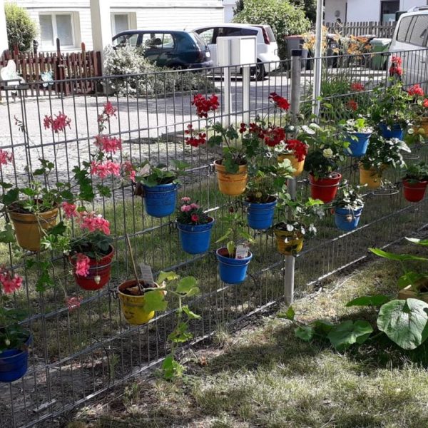 Blumentopfhalter verzinkter Stahldraht für Doppelstab Gitter- und Gabionen Zäune 20 5ad7ecc9 1b33 4a71 9f5b 0add0c235048 5