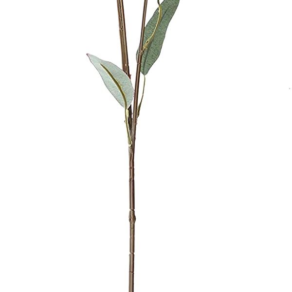 61lILmeFDEL AC SL1500