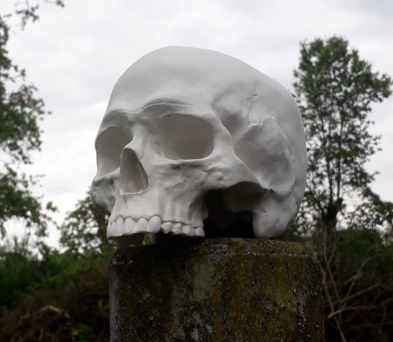 Deko Objekt Totenschädel für Haus und Garten aus Quarzguss 19x13x14 cm 1 Deko Objekt Totenschädel für Haus und Garten aus Quarzguss 19x13x14 cm