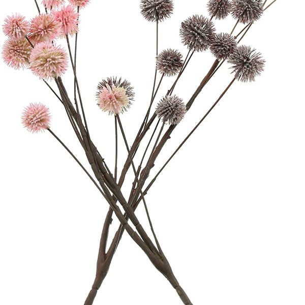 816VDKZRffL AC SL1500