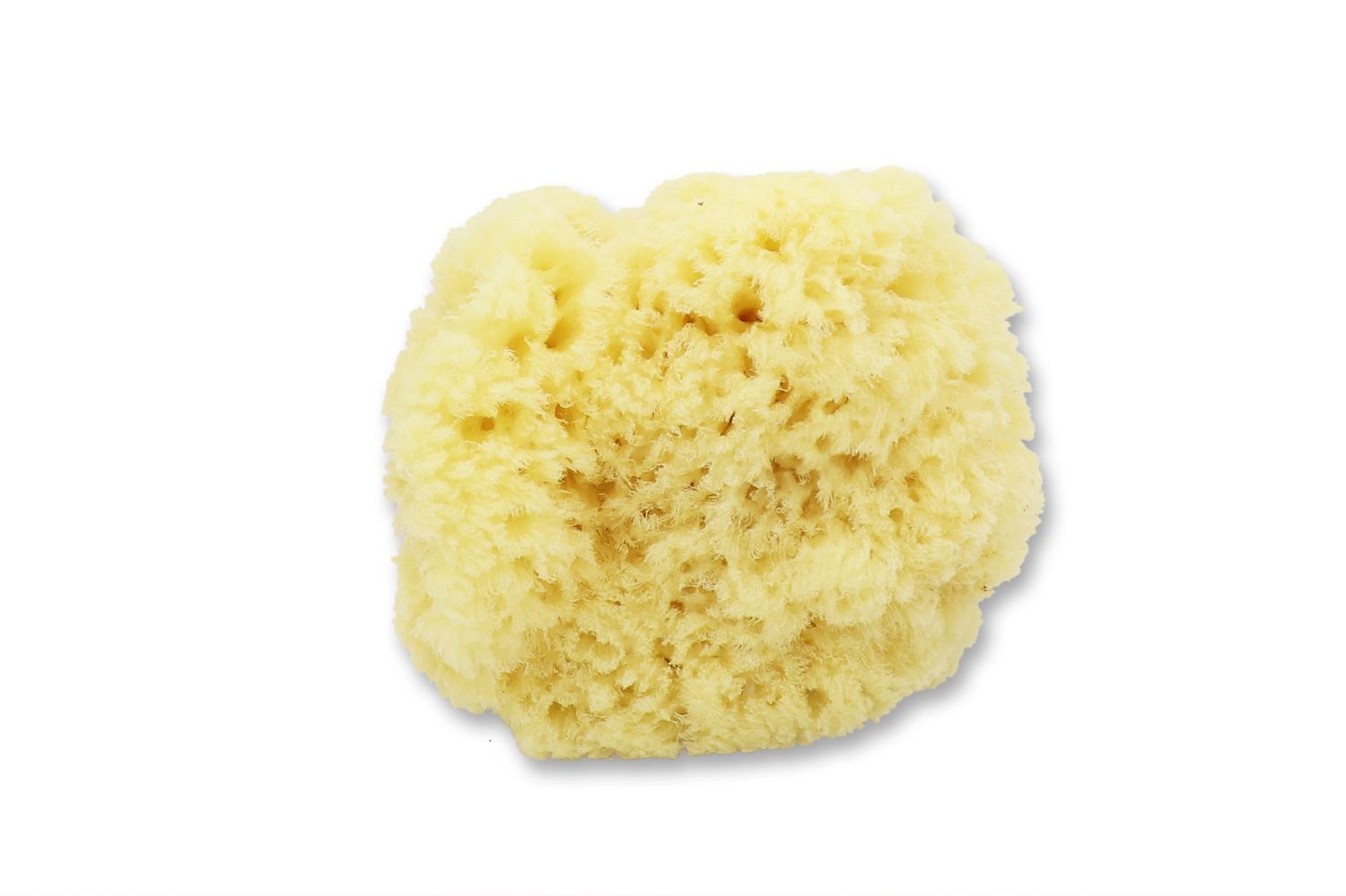 Levantiner Schwamm Badeschwamm Babyschwamm aus dem Mittelmeer extra weich Ø 12 cm 4 Levantiner Schwamm Badeschwamm Babyschwamm aus dem Mittelmeer extra weich Ø 12 cm – Bild 4