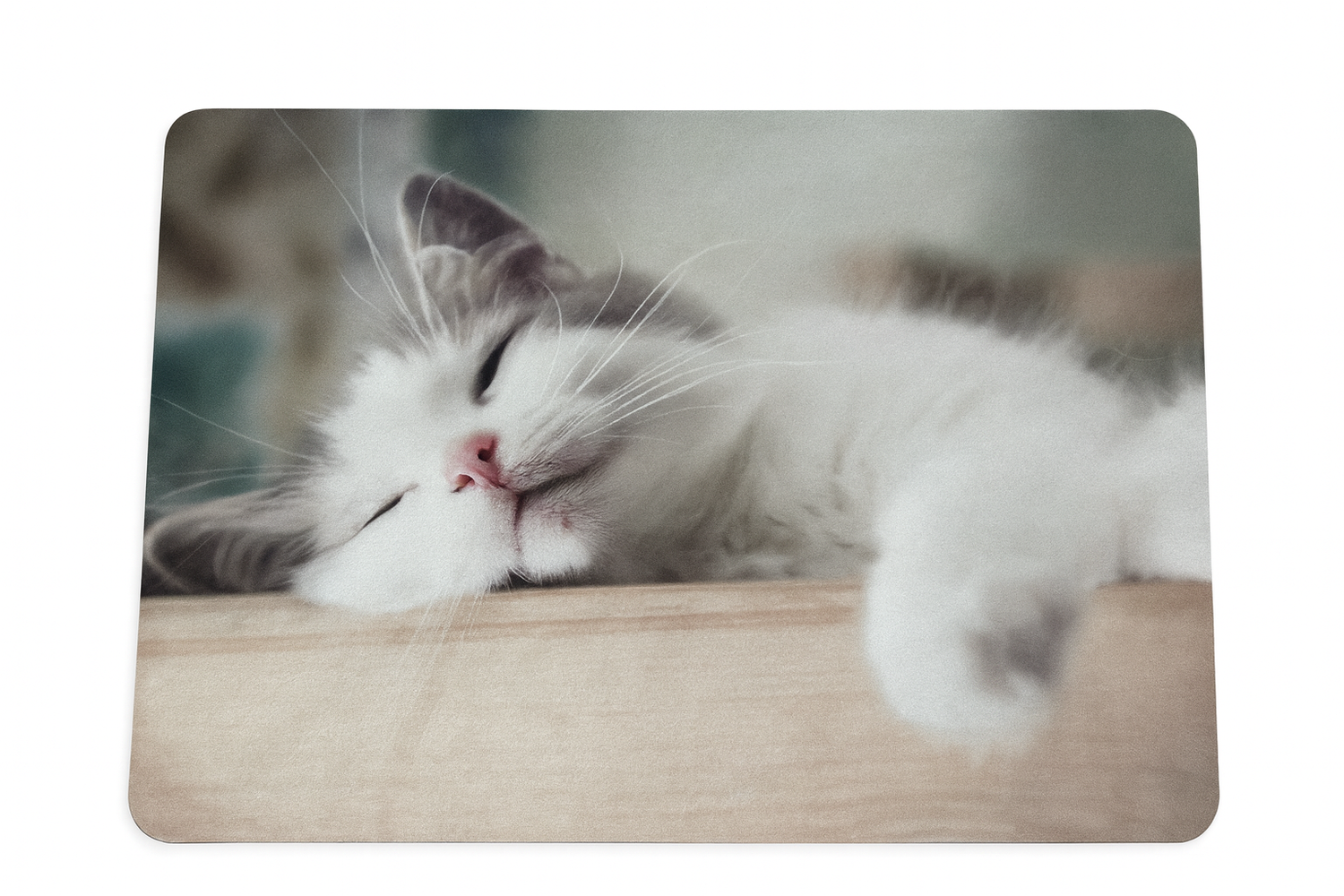 Bedrucktes Tischset Katze – vielseitig verwendbar, rutschfest & waschbar, 40 x 30 cm 1 Bedrucktes Tischset Katze – vielseitig verwendbar, rutschfest & waschbar, 40 x 30 cm
