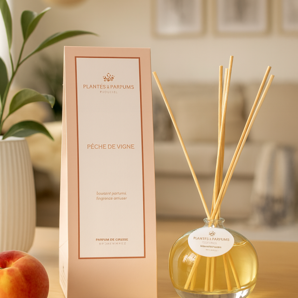 ChatGPT Image 27 Nov 2025 22 17 47 1