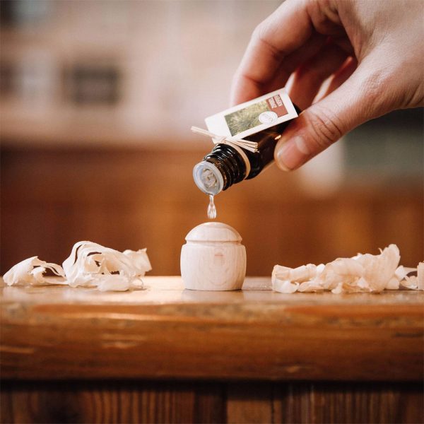 Traumduft Sauna-Dampfbadkonzentrat Minzbeere natürliches Ätherisches Öl 10 ml 7 Duft 31