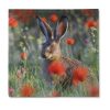 Traumduft 20 Stück Servietten 3-Lagig Hase Klopfer 33x33 cm Dekor Papierservietten 5 Hase