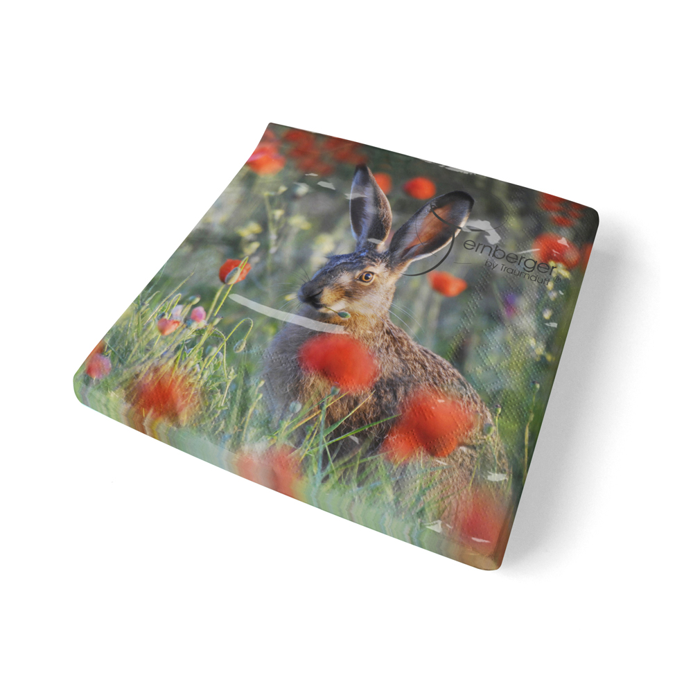 Traumduft 20 Stück Servietten 3-Lagig Hase Klopfer 33x33 cm Dekor Papierservietten 2 Traumduft 20 Stück Servietten 3-Lagig Hase Klopfer 33x33 cm Dekor Papierservietten – Bild 2