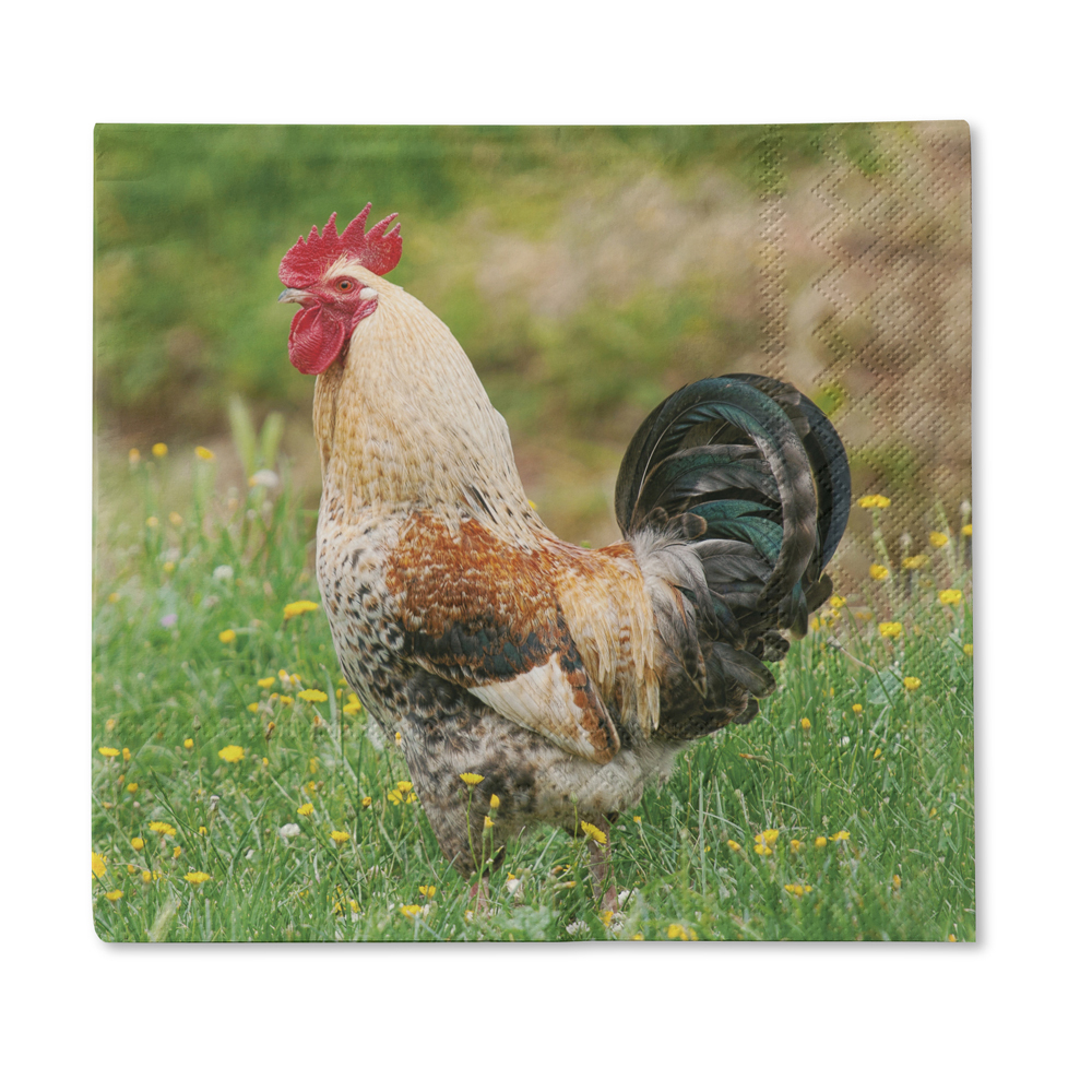 Traumduft 20 Stück Servietten 3-Lagig Hahn Giovanni 33x33 cm Dekor Papierservietten 1 Traumduft 20 Stück Servietten 3-Lagig Hahn Giovanni 33x33 cm Dekor Papierservietten