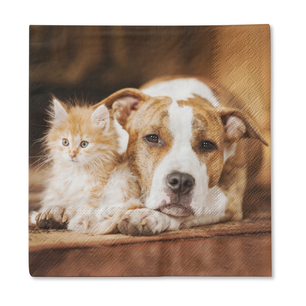 Traumduft 20 Stück Servietten 3-Lagig Hund + Katze 33x33 cm Dekor Papierservietten 1 Traumduft 20 Stück Servietten 3-Lagig Hund + Katze 33x33 cm Dekor Papierservietten