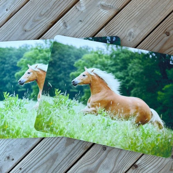 Alternative view of Traumduft Dekoset Tischset Platzdeckchen Platzset Haflinger waschbar 40 x 30 cm