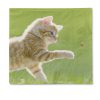 Traumduft 20 Stück Servietten 3-Lagig Katze Tiger 33x33 cm Dekor Papierservietten