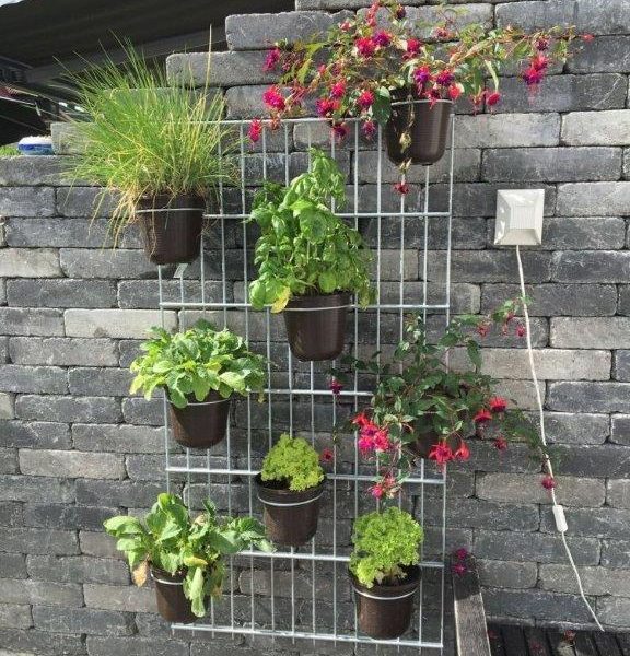 Blumentopfhalter verzinkter Stahldraht für Doppelstab Gitter- und Gabionen Zäune 24 LU LS TH 160 12 1 3