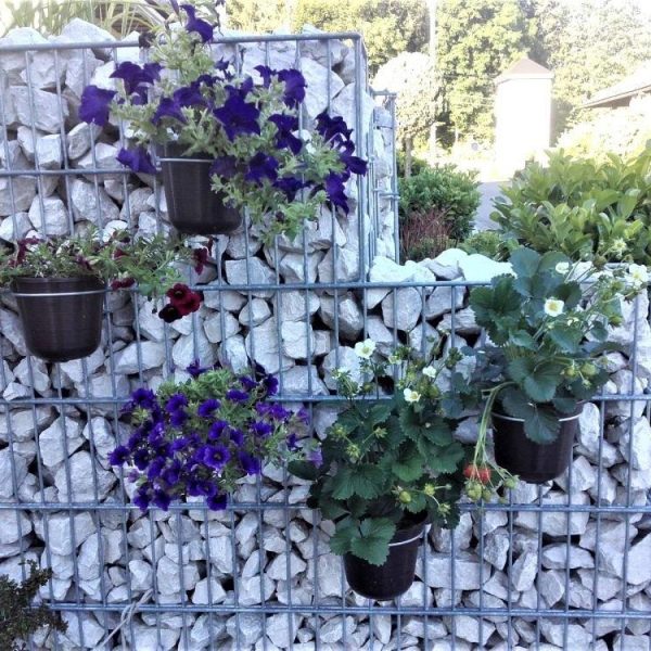 Blumentopfhalter verzinkter Stahldraht für Doppelstab Gitter- und Gabionen Zäune 30 LU LS TH 160 22 1 3