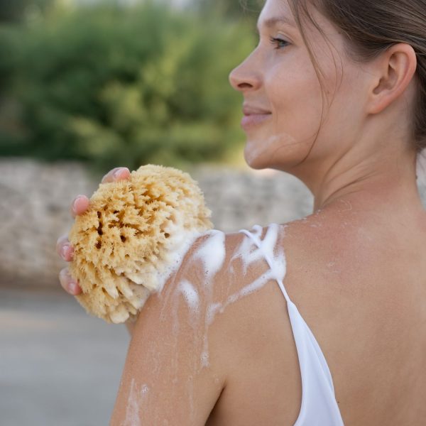 Croll & Denecke Naturschwamm Badeschwamm dem Mittelmeer 12 × 5,5 × 16,5 cm 10 M130 sponge foam