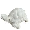 Deko Objekt große Schildkröte für Haus Garten Friedhof aus Weißbeton 27x20x14 cm 8 PhotoRoom 20230510 153701