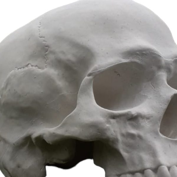 Deko Objekt Totenschädel für Haus und Garten aus Quarzguss 19x13x14 cm 7 PhotoRoom 20230517 150405