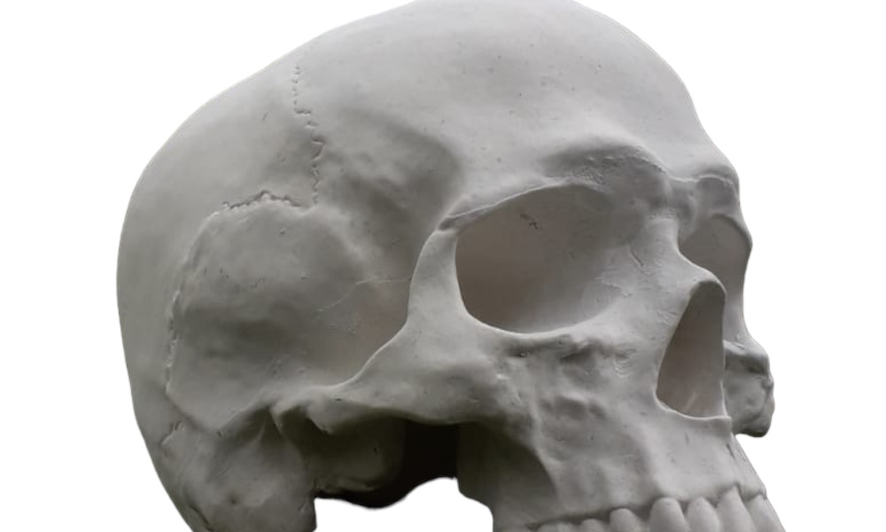 Deko Objekt Totenschädel für Haus und Garten aus Quarzguss 19x13x14 cm 4 Deko Objekt Totenschädel für Haus und Garten aus Quarzguss 19x13x14 cm – Bild 4