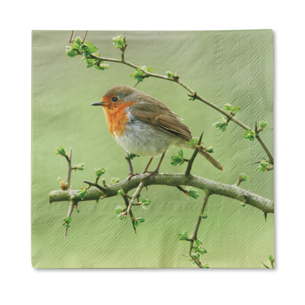 Traumduft 20 Stück Servietten 3-Lagig Rotkehlchen 33x33 cm Dekor Papierservietten 1 Traumduft 20 Stück Servietten 3-Lagig Rotkehlchen 33x33 cm Dekor Papierservietten