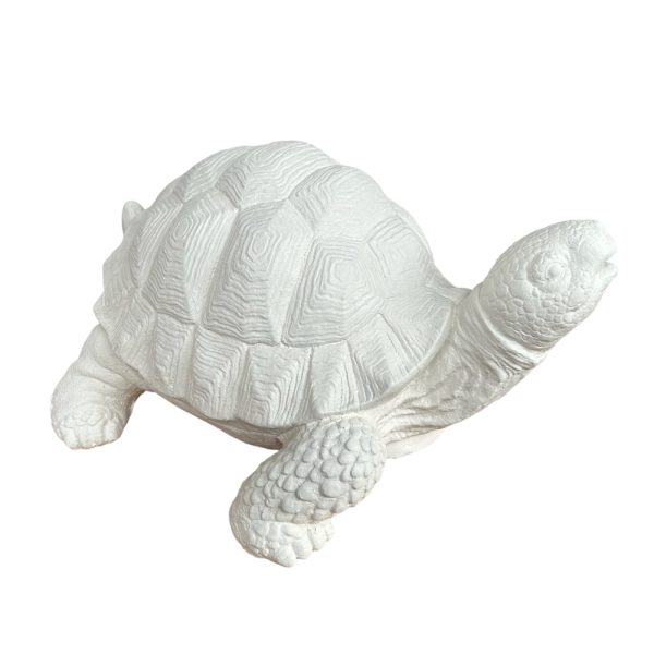 Deko Objekt große Schildkröte für Haus Garten Friedhof aus Weißbeton 27x20x14 cm 7 Schildkroete 1