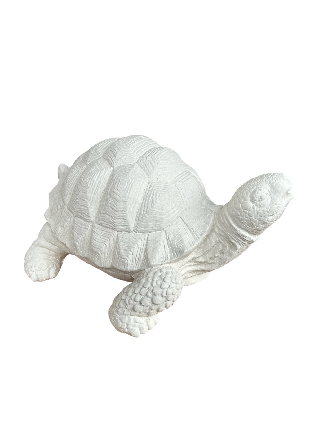 Deko Objekt große Schildkröte für Haus Garten Friedhof aus Weißbeton 27x20x14 cm 4 Deko Objekt große Schildkröte für Haus Garten Friedhof aus Weißbeton 27x20x14 cm – Bild 4