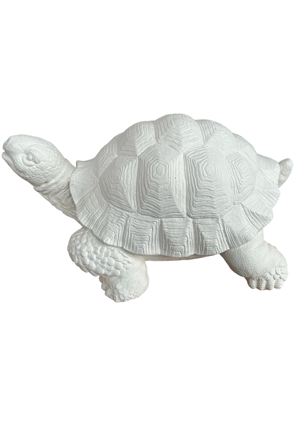 Deko Objekt große Schildkröte für Haus Garten Friedhof aus Weißbeton 27x20x14 cm 3 Deko Objekt große Schildkröte für Haus Garten Friedhof aus Weißbeton 27x20x14 cm – Bild 3