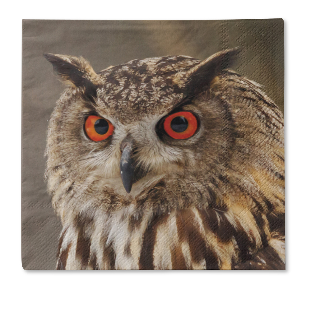 Traumduft 20 Stück Servietten 3-Lagig Uhu Till 33x33 cm Dekor Papierservietten 1 Traumduft 20 Stück Servietten 3-Lagig Uhu Till 33x33 cm Dekor Papierservietten