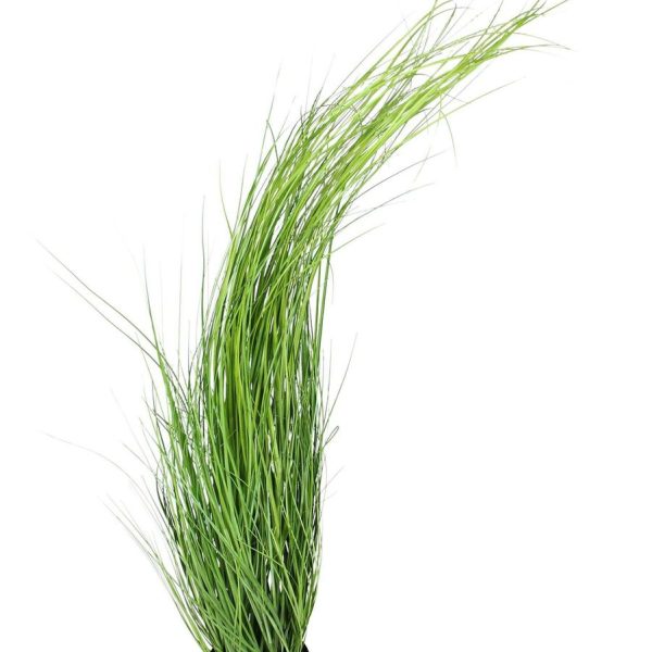 Kunstpflanze Gras im Kunststofftopf Deko Pflanze Höhe 120 cm 3 c6e49080 edbb 54de ac15 73cae81cba1e