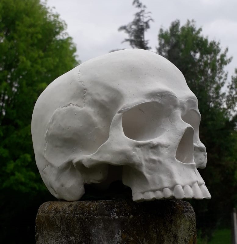 Deko Objekt Totenschädel für Haus und Garten aus Quarzguss 19x13x14 cm 2 Deko Objekt Totenschädel für Haus und Garten aus Quarzguss 19x13x14 cm – Bild 2