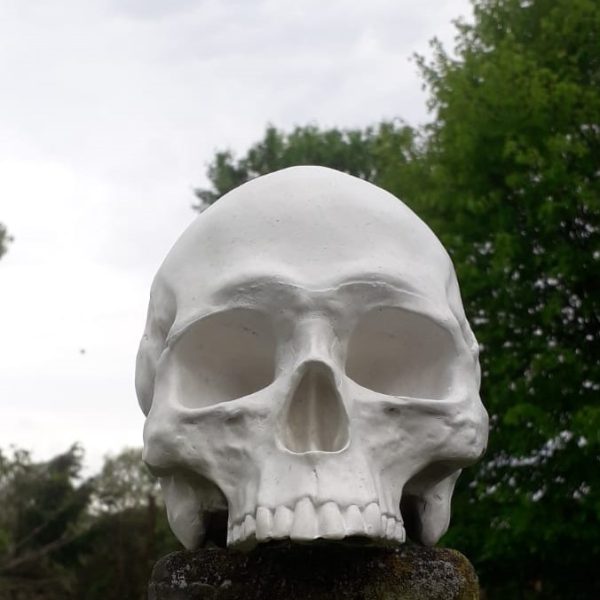 Deko Objekt Totenschädel für Haus und Garten aus Quarzguss 19x13x14 cm 6 fa24df64 0c2e 4f7c b230 7788efb6b2d9