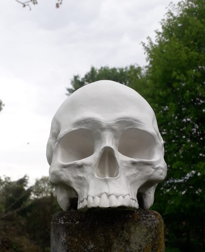 Deko Objekt Totenschädel für Haus und Garten aus Quarzguss 19x13x14 cm 3 Deko Objekt Totenschädel für Haus und Garten aus Quarzguss 19x13x14 cm – Bild 3